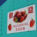 松伏いちごスタジアム2008