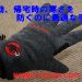 パッションライトグローブ